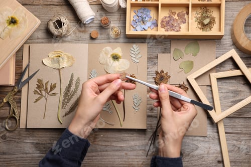 Preview: Woman putting dry flowers into notebook at wooden table, top view