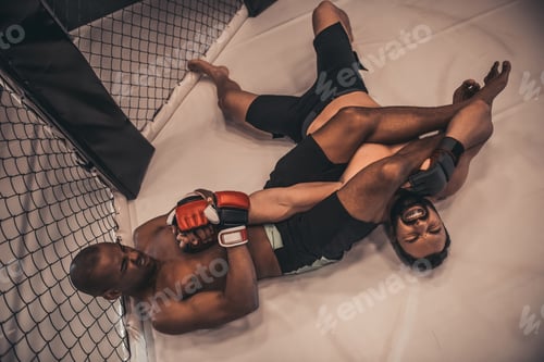 Preview: Wrestlers in the ring