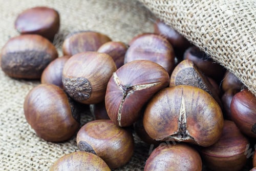 Preview: chestnuts on sack