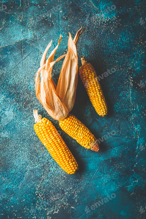 Preview: Ripe dried corn cobs