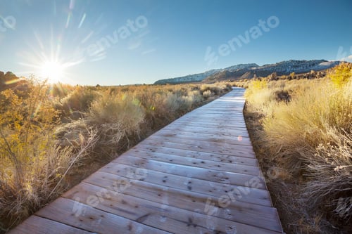 Preview: Boardwalk