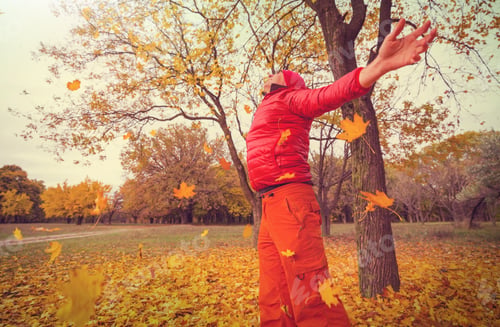 Preview: Autumn season