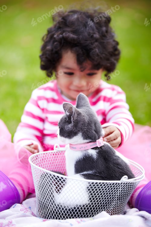 Preview: The perfect pet
