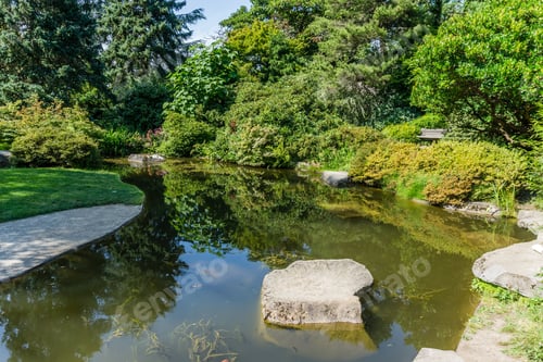 Preview: A View Of A Pond In A Garden In Renton, Washington.