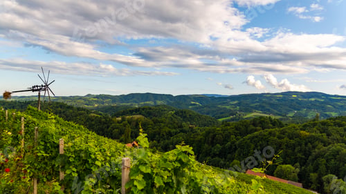 Preview: Austria, south styria travel destination. Tourist spot for vine