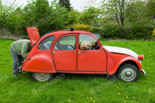 Preview: Mature couple and dog in field with vintage car