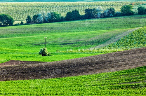 Preview: Moravian rolling landscape