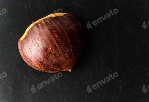 Preview: Fresh one chestnut isolated on black background