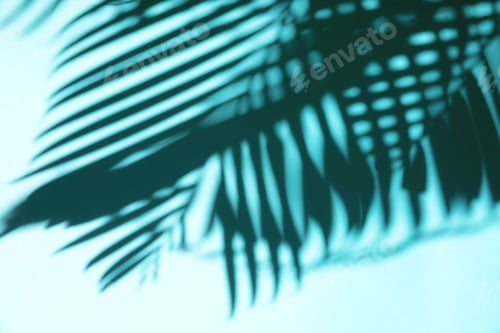 Preview: Top view of high contrast tropical palm leave shadow on mint background