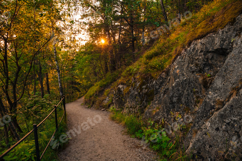Preview: Beautiful road in fall forest with sun light