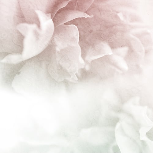 Preview: Sweet Color Roses Flower In Soft And Blur Style On Mulberry Paper Texture