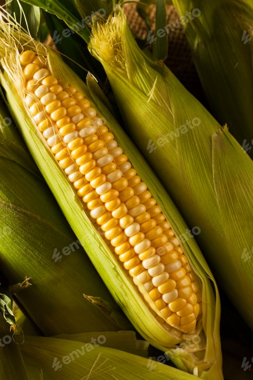 Preview: Raw Organic Yellow Seet Corn