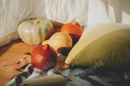 Preview: Pumpkins and Gourds for a Seasonal Display