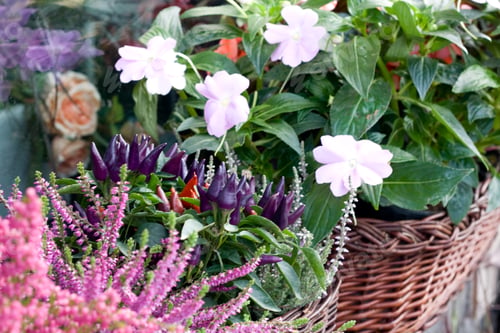 Preview: A wicker basket with flowers on the windowsill