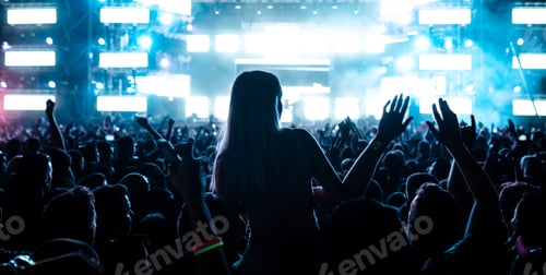 Preview: Back view of crowd of people enjoying at music concert at night.