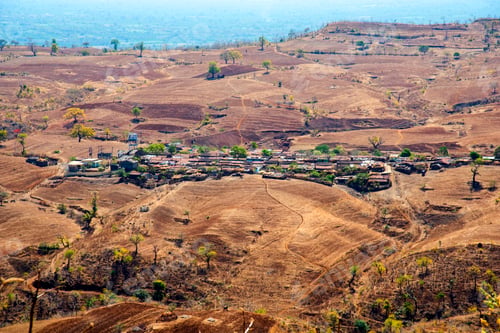 Preview: Summer landscape of mountain forest, India.
