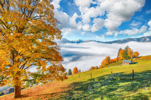 Preview: Spectacular view of the meadows and mountains around Zell lake or Zeller See .