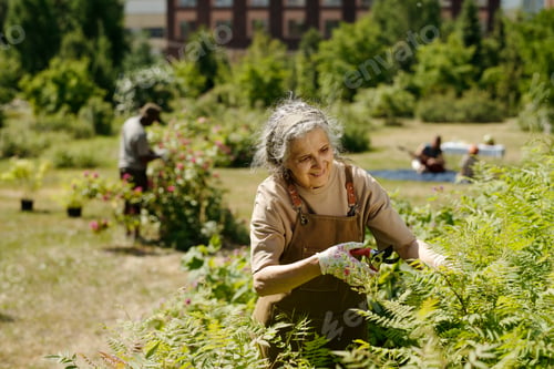 Preview: Senior Caucasian Woman Gardening Outdoors in Park on Sunny Summer Day