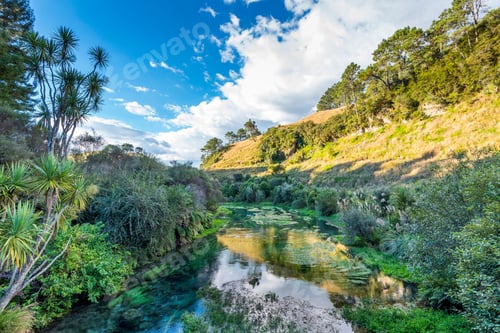 Preview: Beautiful landscape of the blue spring Putaruru, North Island, New Zealand