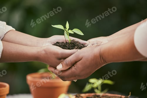 Preview: To plant a garden is to believe in tomorrow