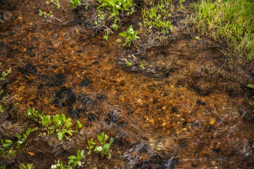 Preview: clear mountain stream with refracting rocks