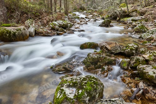 Preview: Forest and creek with silk effect. Lozoya river in Madrid. Spain