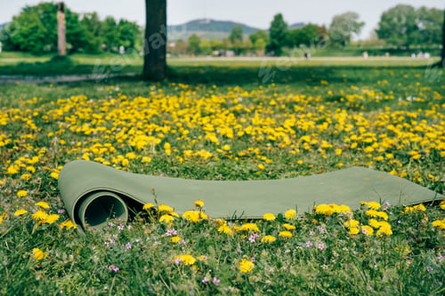 Preview: Rolled yoga mat among spring flowers