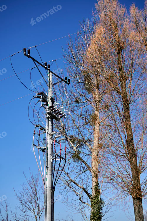 Preview: Vertical shot high voltage tower between dry branches under blue sky in the mountain