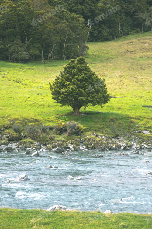 Preview: Landscape tree nature river water