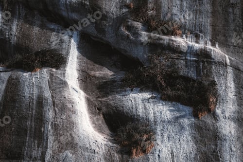 Preview: Rocky cliff with dry vegetation