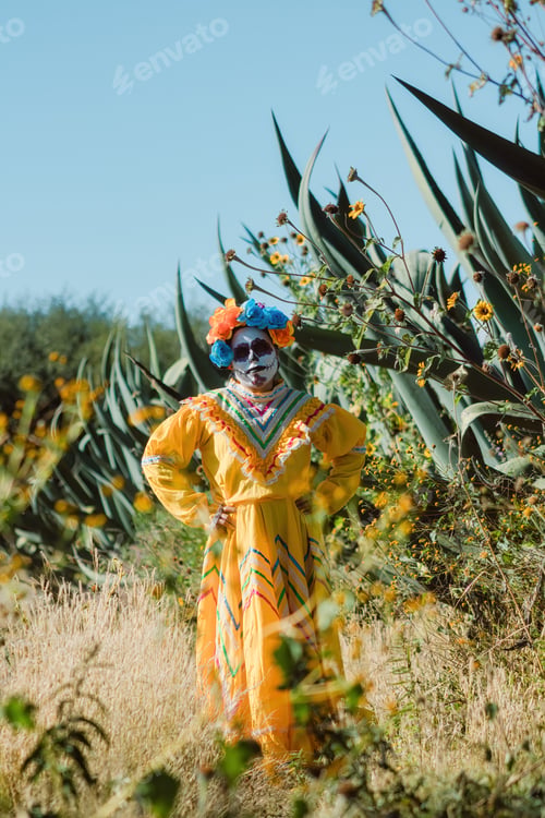 Preview: Mexican woman in colorful dress and skull makeup in the mexican desert