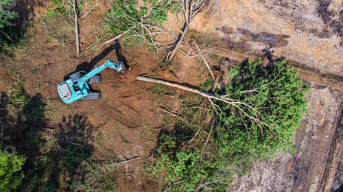Preview: The top view of the deforestation.