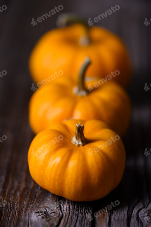 Preview: Three orange mini pumpkins rest on rustic wooden table