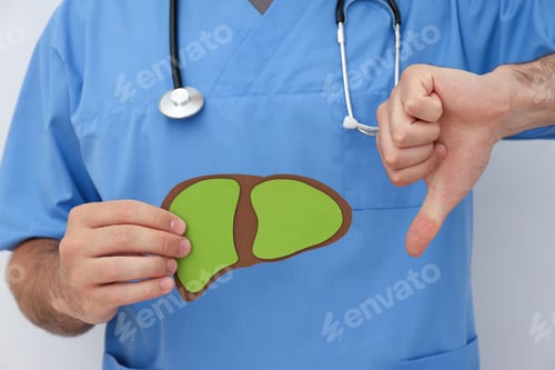 Preview: Paper liver in the doctor's hand on light background, close up