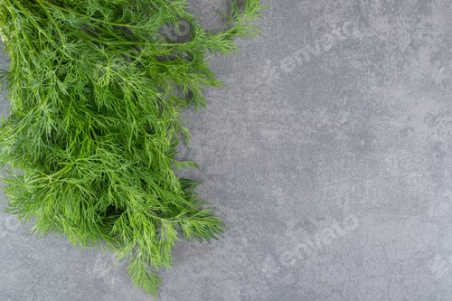 Preview: Organic fresh dill on marble backgroudn