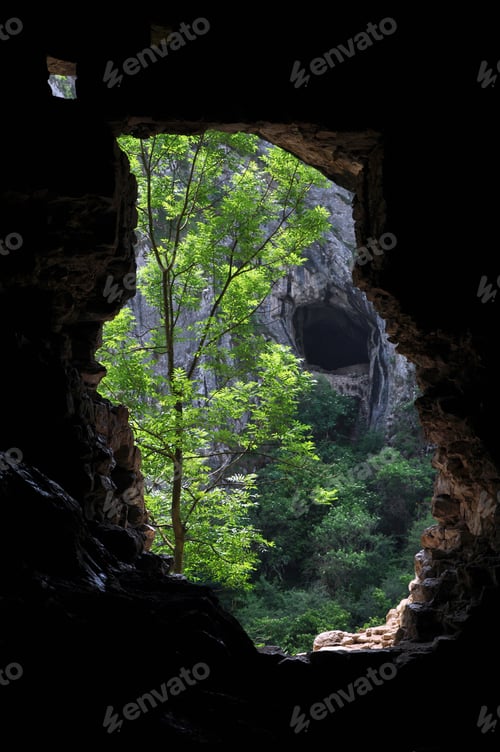 Preview: Cave Entrance View form Inside