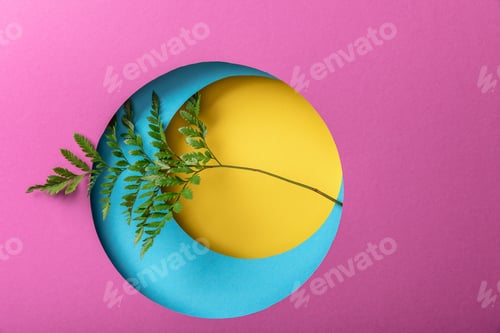 Preview: green fern leaf on creative colorful paper background
