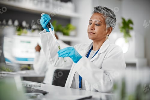 Preview: Plants, test tube and science woman with research, exam and solution for leaves in laboratory, eco