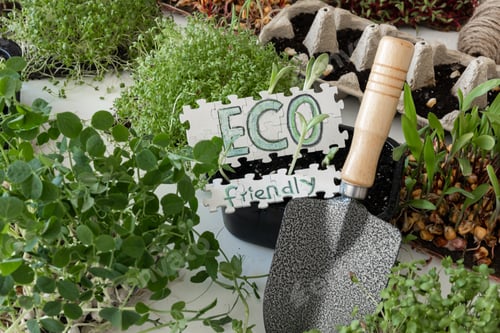 Preview: Germination of microgreens. Germination of seeds at home.
