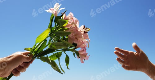 Preview: Man gives his wife a bouquet of fresh flowers as a gift on Valentine’s Day with hands.