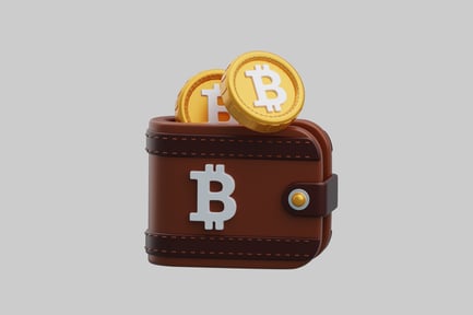 Visualização: Moeda digital da carteira Bitcoin