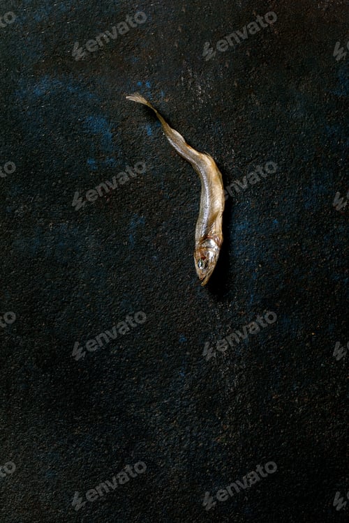 Preview: sun-dried sea fish smelt hamsa anchovy