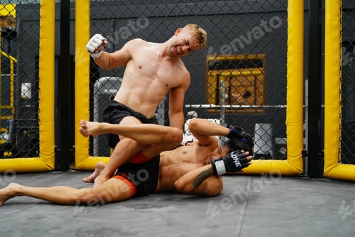 Preview: Mixed Martial Art, When the opponent is knocked down throwing fists into an opponent's face or body