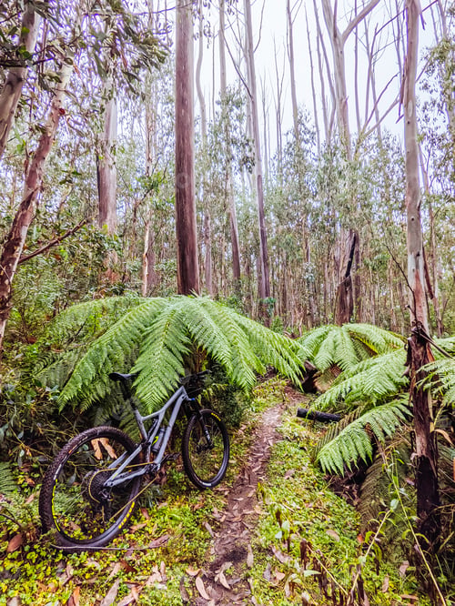 Preview: Lake Mountain Bike Park in Australia
