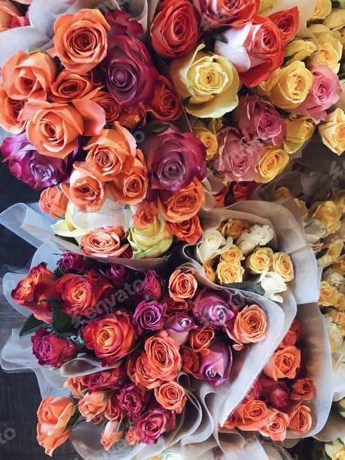 Preview: A beautiful mixture if different colored roses await gifting to someone special.