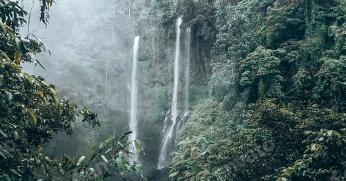 Preview: Jungle waterfall