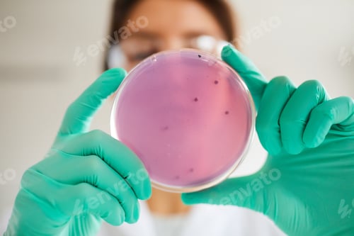 Preview: Petri Dish Sample Low Angle