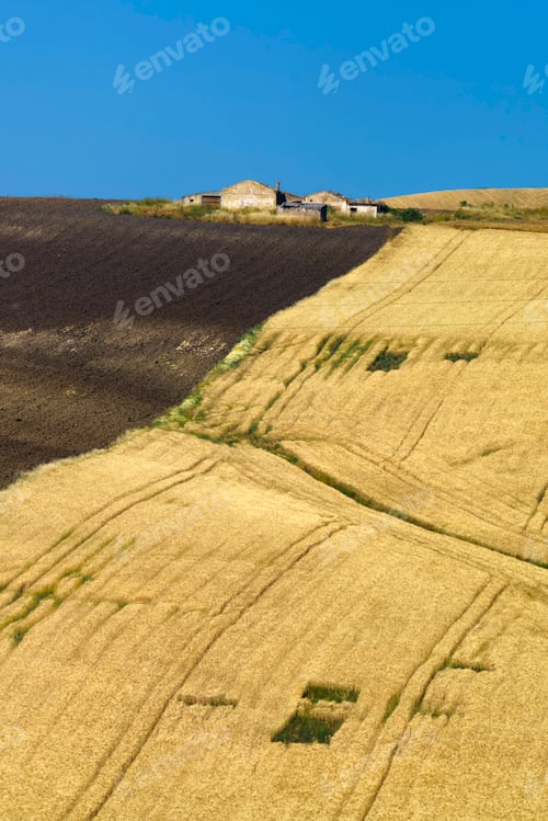 Preview: Landscape along the road from Termoli to Serracapriola, Southern Italy