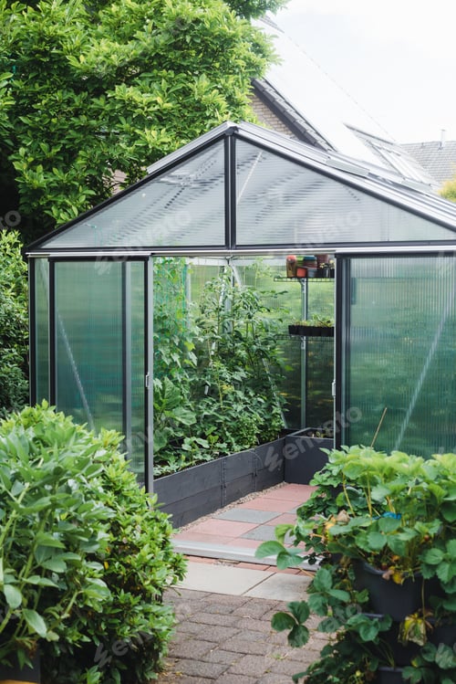 Preview: Greenhouse in the garden