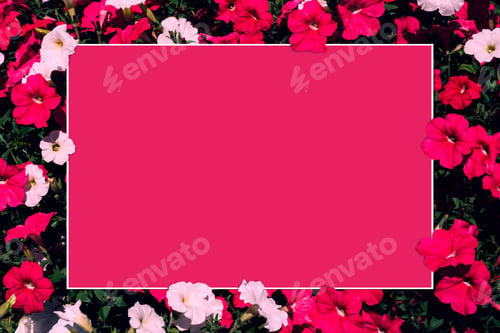 Preview: Creative layout made of pink and white flowers with paper card note.